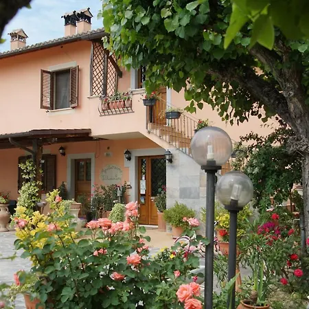 L'ulivo In Fiore Alloggio per agriturismo *
