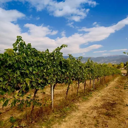 Séjour à la ferme L'ulivo In Fiore