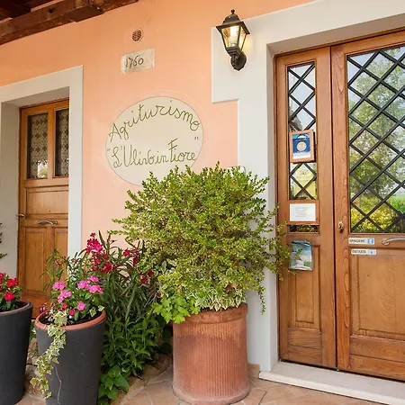 L'ulivo In Fiore Séjour à la ferme Spolète